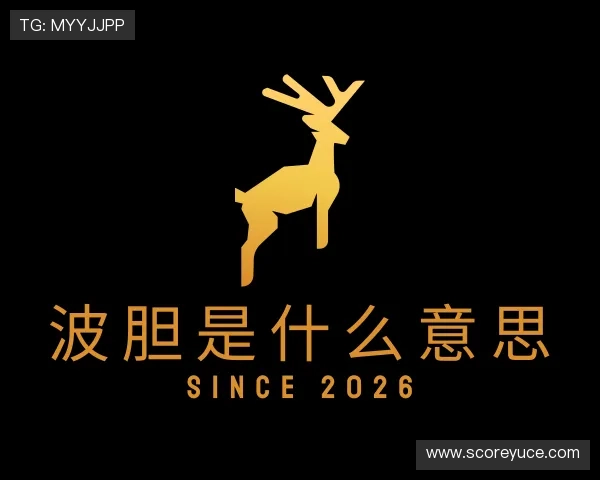认识波胆平台